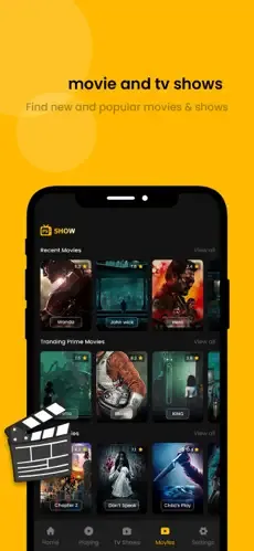 cricinfo-ball-to-ball movie